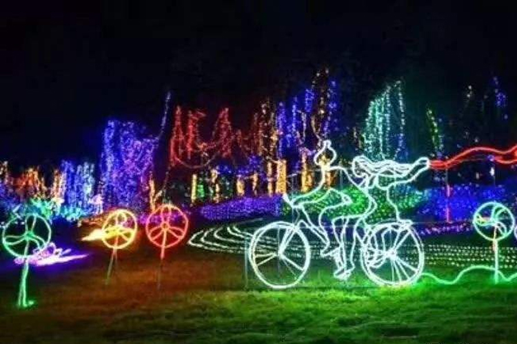 綿陽國際主題公園燈光秀
