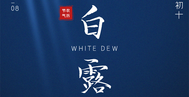 二十四節(jié)氣之白露
